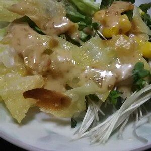 生野菜サラダ♪トッピングはフライド…餃子の皮！